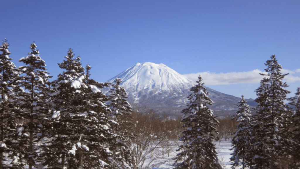 scenic view of a mountain