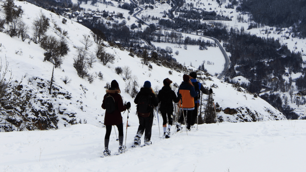 people skiing in mountain