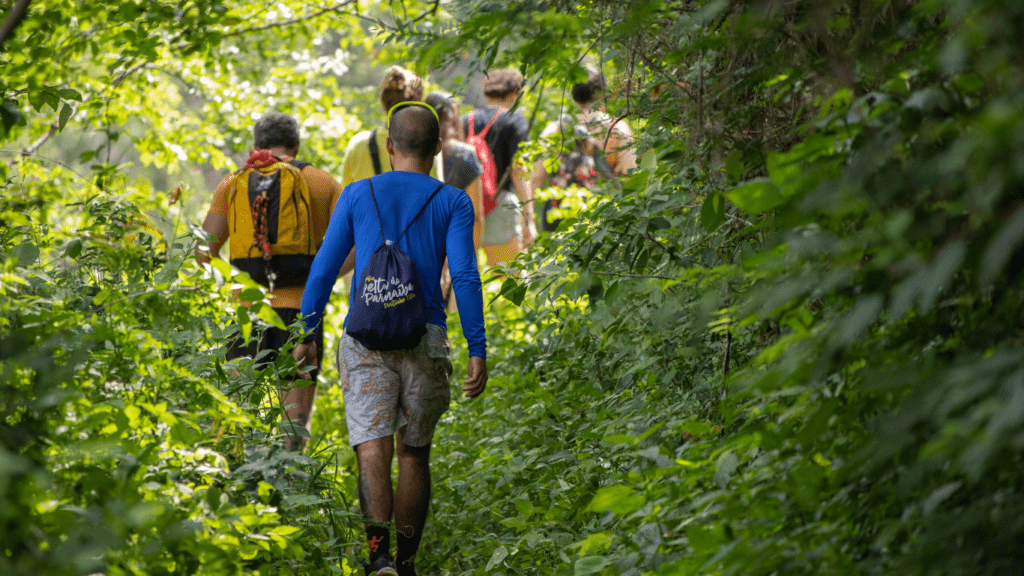 people walking on forest