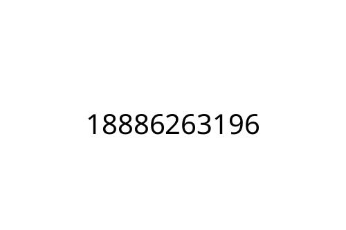 18886263196