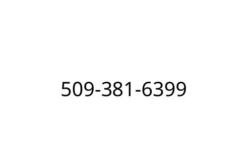 509-381-6399