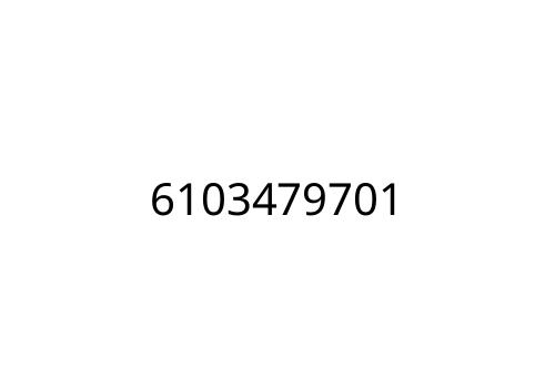 6103479701