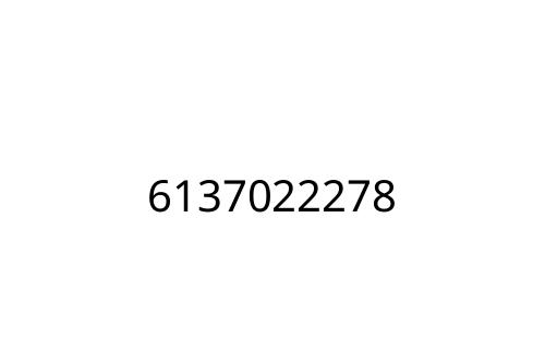 6137022278
