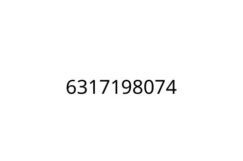 6317198074