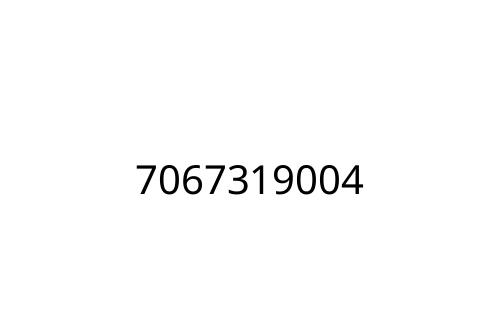 7067319004