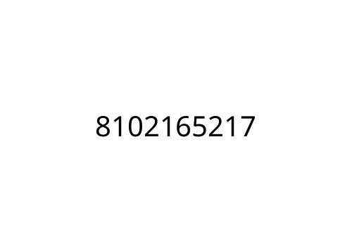 8102165217