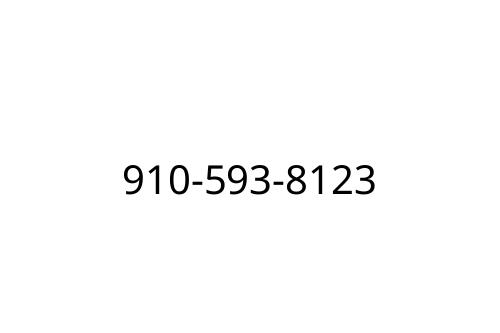 910-593-8123
