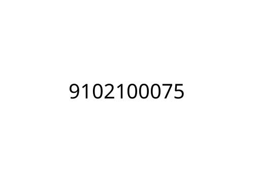 9102100075