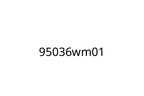 95036wm01