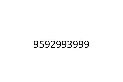 9592993999