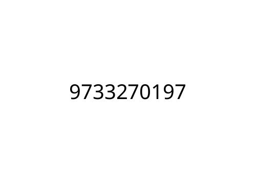 9733270197