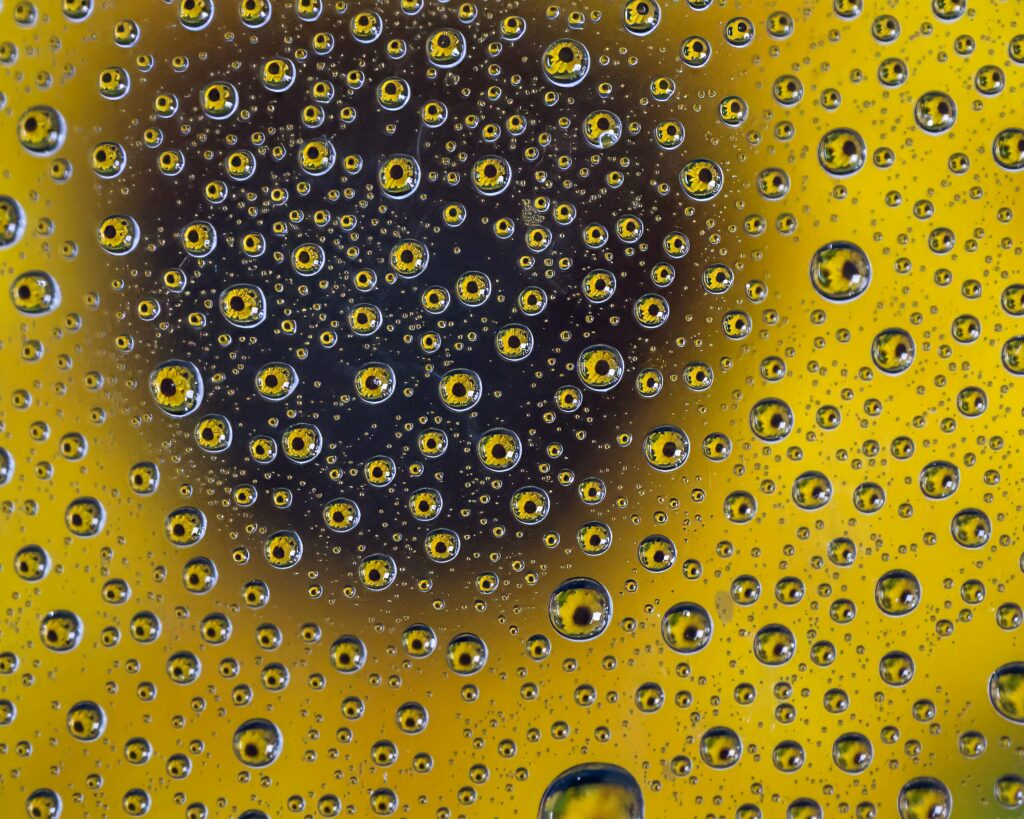 clear liquid that comes out of pimples