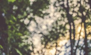 antivirus freedoor2.4.6.8