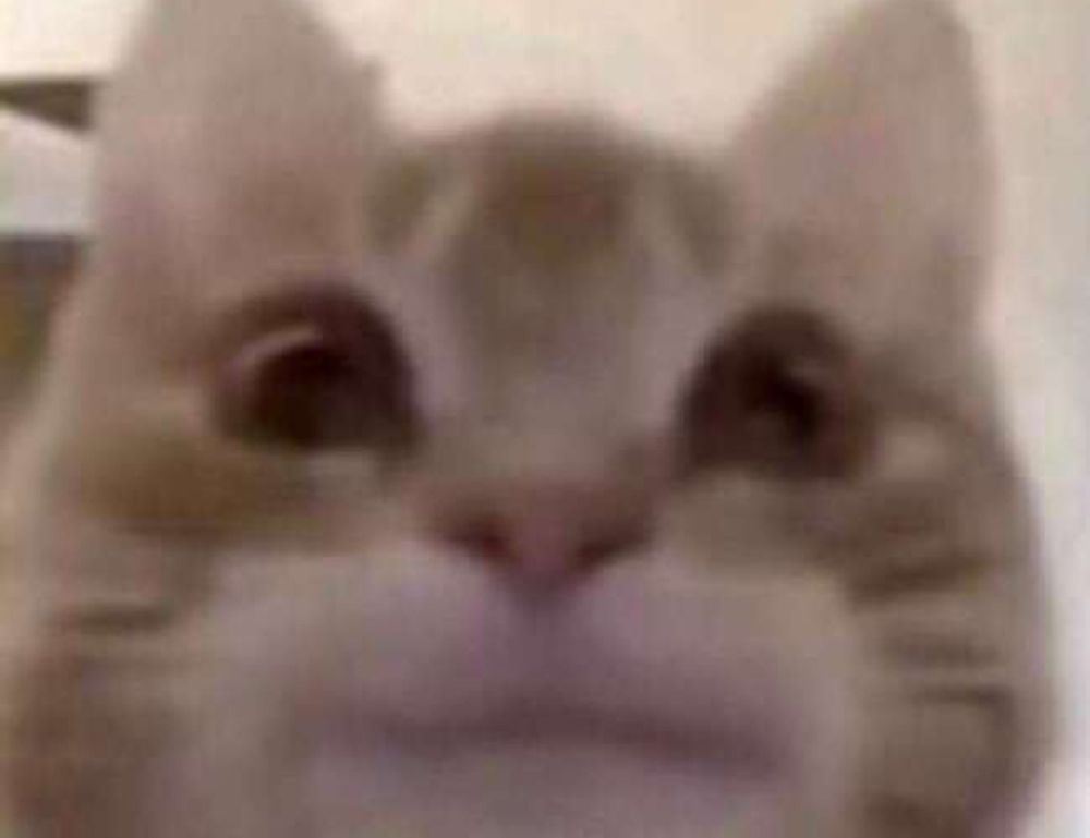 can i get susbluezilla