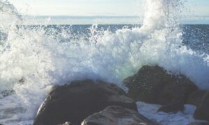 why is lescohid herbicide good