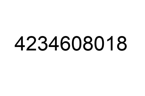 4234608018