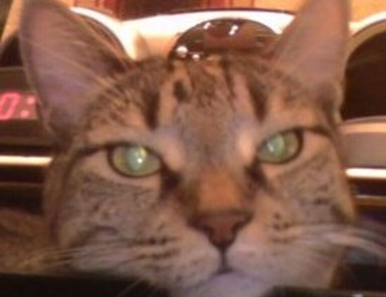 gaming wallpapers sick cool fortnite backgrounds