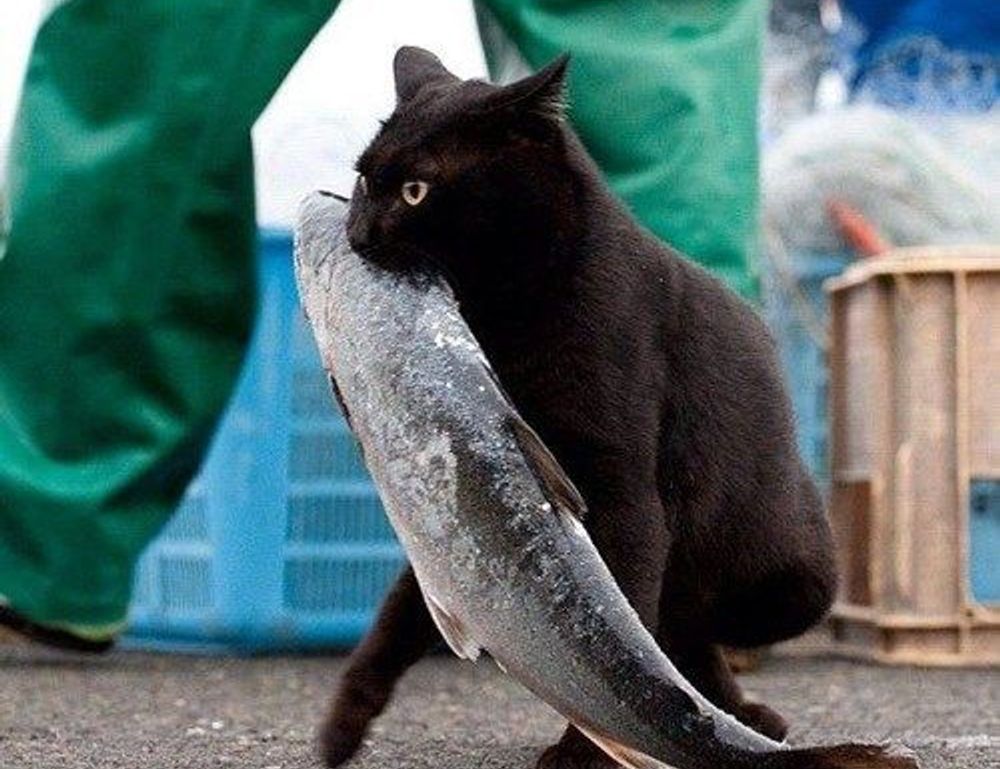 girl bathing suit full body at&t lily fired