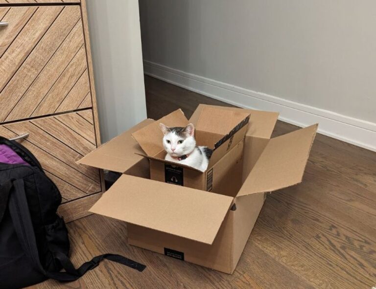 glasses fringe layered bob for fine hair over 50