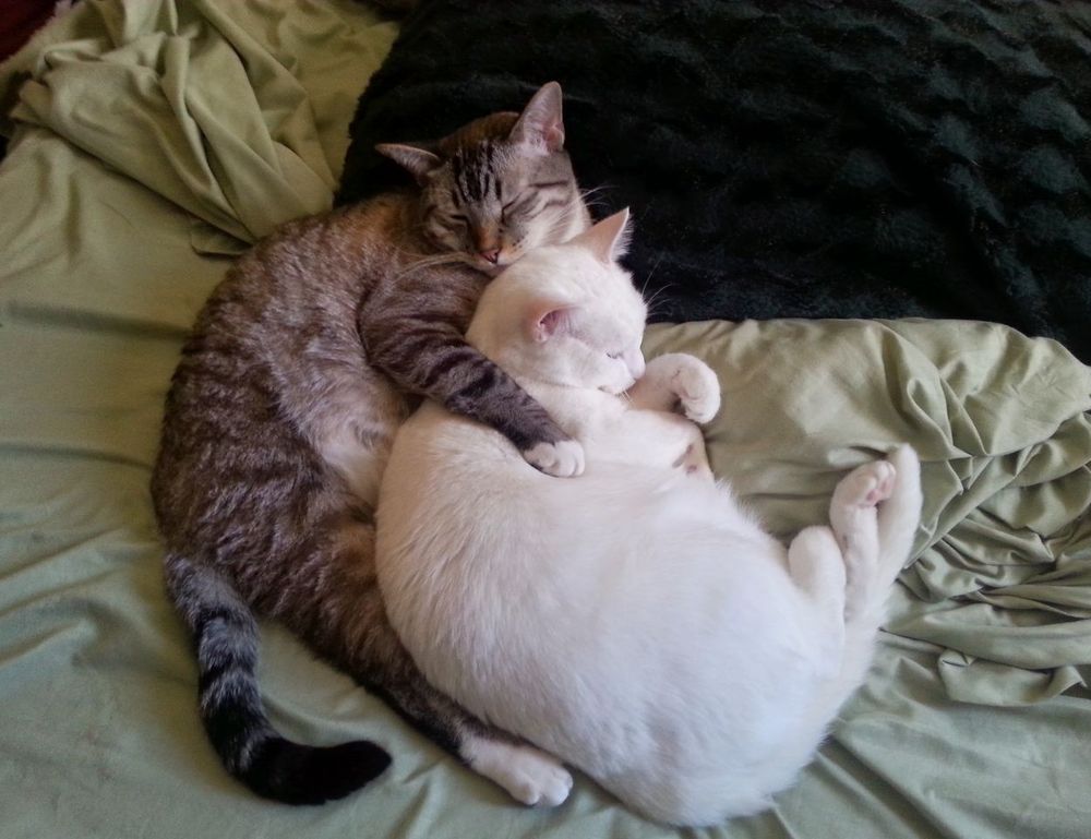 good face moisturizer for black skin