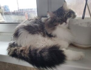 good places to live for young adults