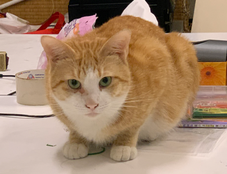 if i cancel cinemark movie club do i lose my credits