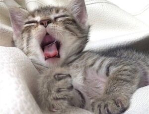 if i search for someone on instagram will they know