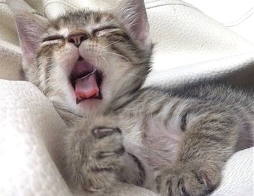 if i search for someone on instagram will they know