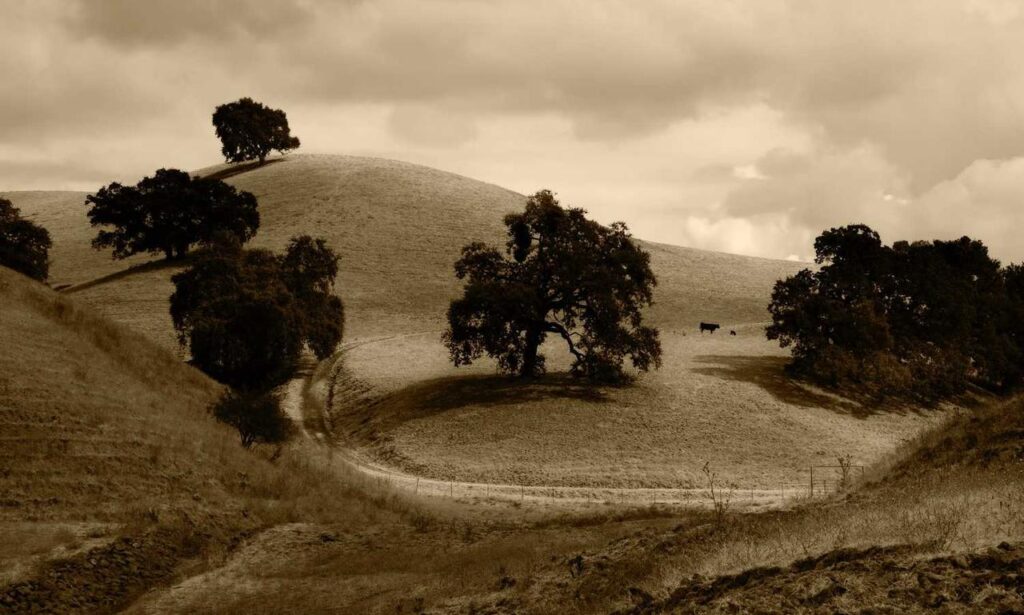 if i swipe left will they still see me