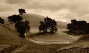 if i swipe left will they still see me