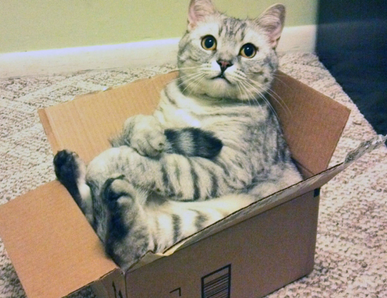 if my gas is shut off will i have hot water