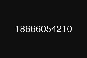 18666054210