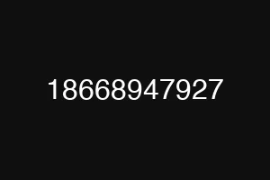 18668947927