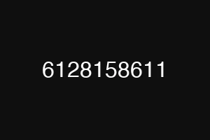 6128158611