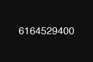 6164529400
