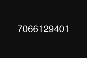7066129401