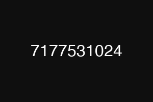 7177531024