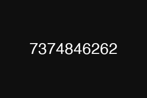 7374846262