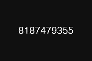 8187479355