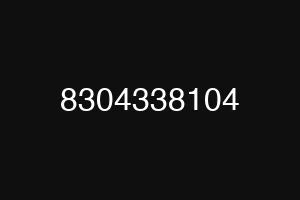 8304338104