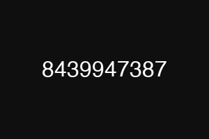 8439947387