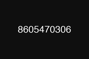 8605470306