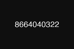 8664040322
