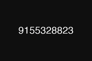 9155328823