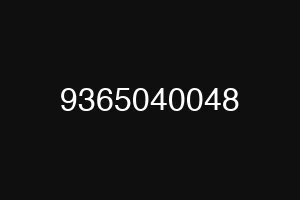 9365040048