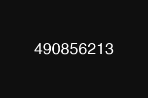 490856213