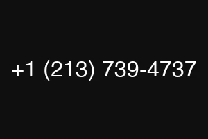 +1 (213) 739-4737