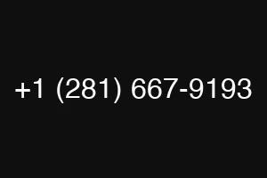 +1 (281) 667-9193