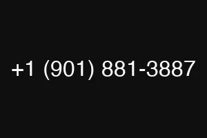 +1 (901) 881-3887
