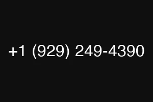 +1 (929) 249-4390